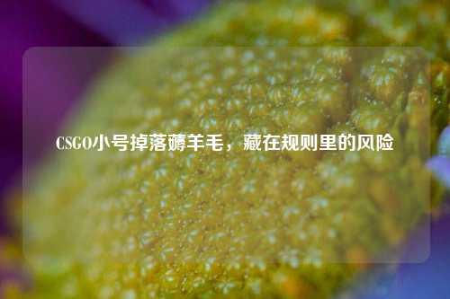 CSGO小号掉落薅羊毛,藏在规则里的风险