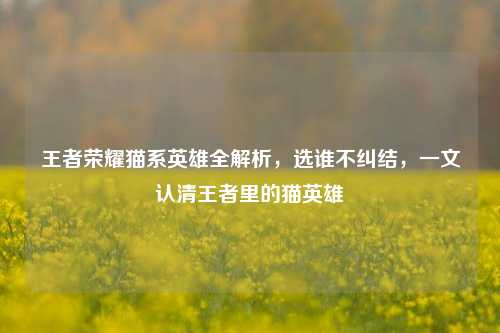 王者荣耀猫系英雄全解析,选谁不纠结,一文认清王者里的猫英雄