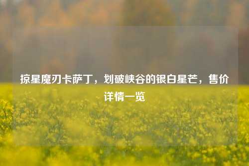 掠星魔刃卡萨丁,划破峡谷的银白星芒,售价详情一览