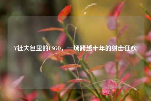 V社大包里的CSGO,一场跨越十年的射击狂欢