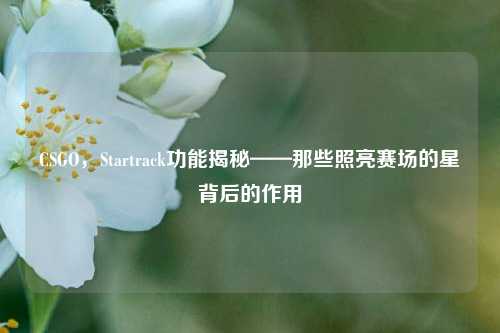 CSGO,Startrack功能揭秘——那些照亮赛场的星背后的作用