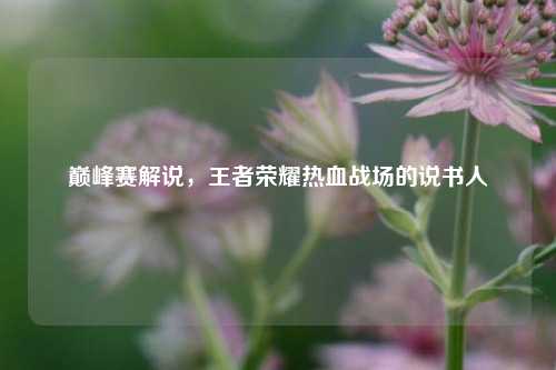 巅峰赛解说,王者荣耀热血战场的说书人