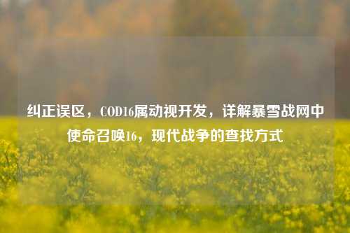纠正误区,COD16属动视开发,详解暴雪战网中使命召唤16,现代战争的查找方式