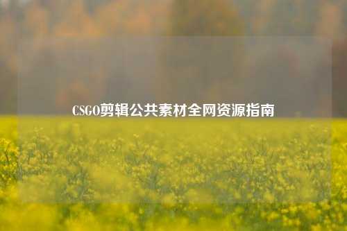 CSGO剪辑公共素材全网资源指南