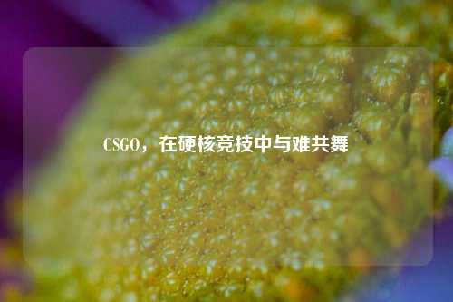 CSGO,在硬核竞技中与难共舞