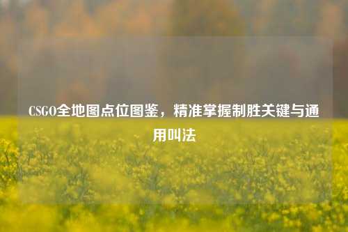 CSGO全地图点位图鉴,精准掌握制胜关键与通用叫法