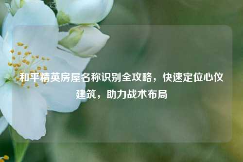 和平精英房屋名称识别全攻略,快速定位心仪建筑,助力战术布局