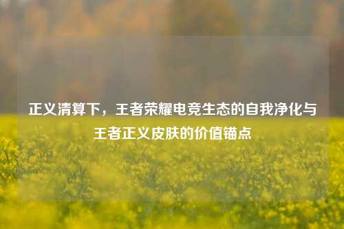 正义清算下,王者荣耀电竞生态的自我净化与王者正义皮肤的价值锚点