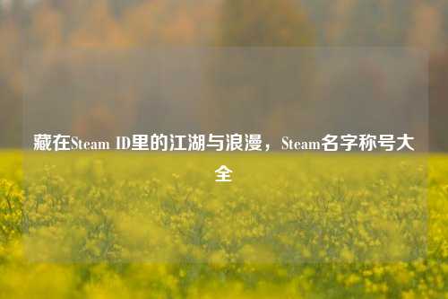 藏在Steam ID里的江湖与浪漫,Steam名字称号大全