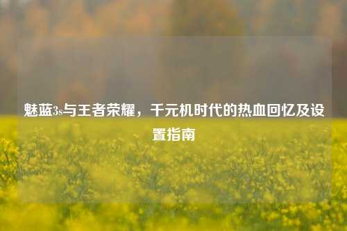 魅蓝3s与王者荣耀,千元机时代的热血回忆及设置指南