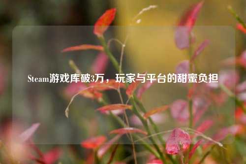 Steam游戏库破3万,玩家与平台的甜蜜负担