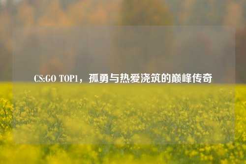 CS:GO TOP1,孤勇与热爱浇筑的巅峰传奇