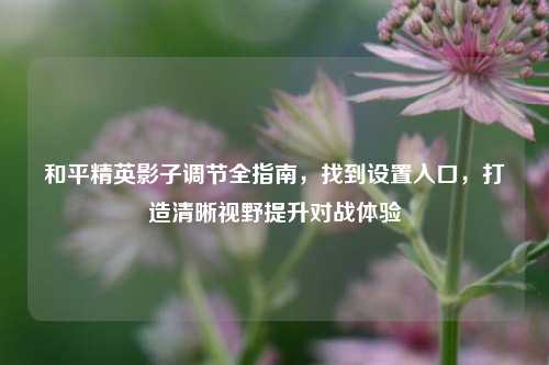 和平精英影子调节全指南,找到设置入口,打造清晰视野提升对战体验