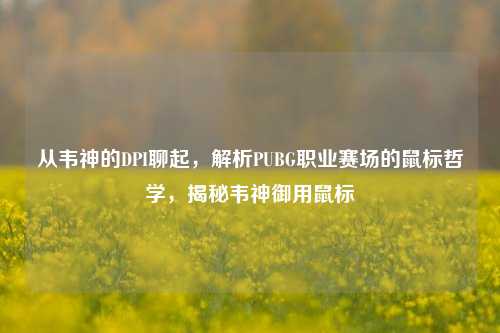 从韦神的DPI聊起,解析PUBG职业赛场的鼠标哲学,揭秘韦神御用鼠标