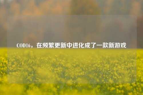 COD16,在频繁更新中进化成了一款新游戏