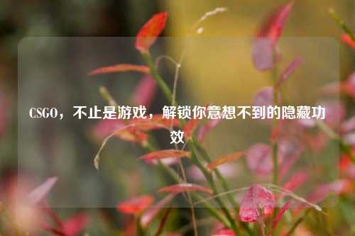 CSGO,不止是游戏,解锁你意想不到的隐藏功效