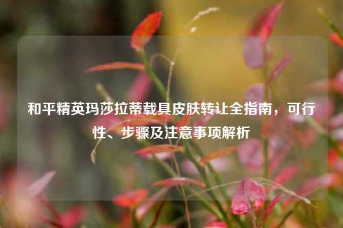 和平精英玛莎拉蒂载具皮肤 全指南,可行性、步骤及注意事项解析