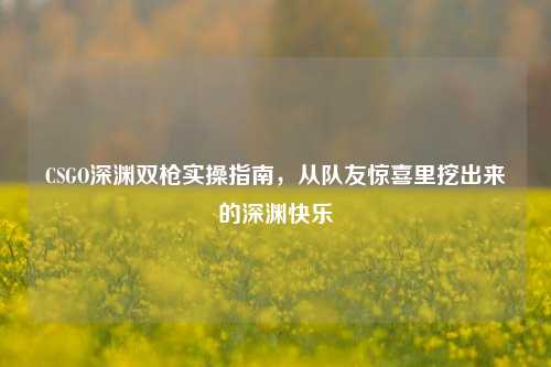 CSGO深渊双枪实操指南,从队友惊喜里挖出来的深渊快乐
