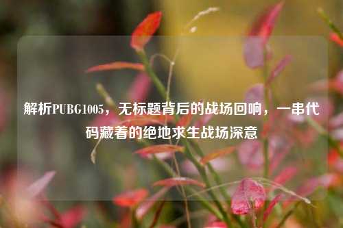 解析PUBG1005,无标题背后的战场回响,一串代码藏着的绝地求生战场深意