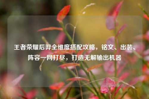 王者荣耀后羿全维度搭配攻略,铭文、出装、阵容一网打尽,打造无解输出机器