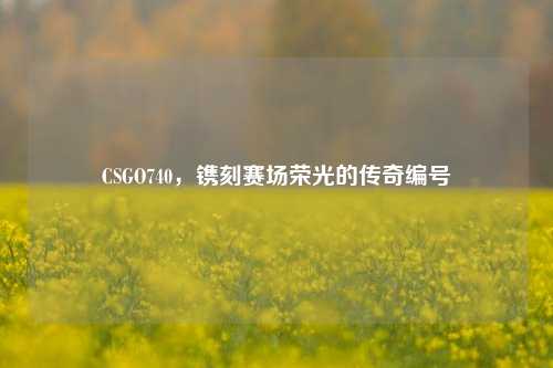 CSGO740,镌刻赛场荣光的传奇编号