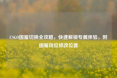 CSGO国服切换全攻略,快速解锁专属体验,附国服段位修改位置