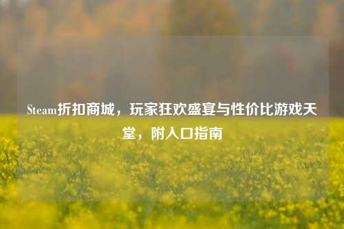 Steam折扣商城,玩家狂欢盛宴与性价比游戏天堂,附入口指南