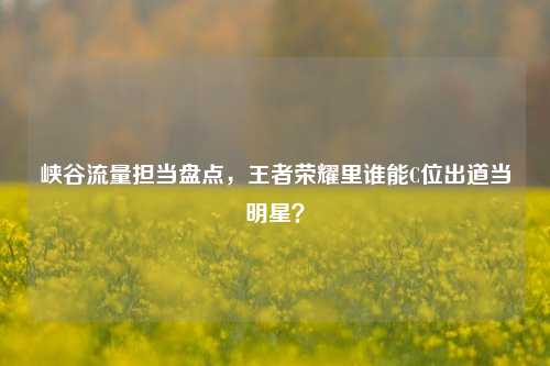 峡谷流量担当盘点,王者荣耀里谁能C位出道当明星?