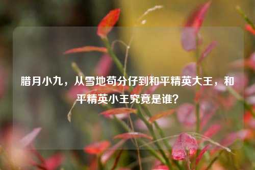 腊月小九,从雪地苟分仔到和平精英大王,和平精英小王究竟是谁?