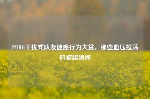 PUBG干扰式队友迷惑行为大赏,那些血压拉满的被踢瞬间