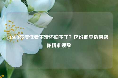 CSGO亮度低看不清还调不了?这份调亮指南帮你精准锁敌