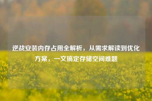逆战安装内存占用全解析,从需求解读到优化方案,一文搞定存储空间难题