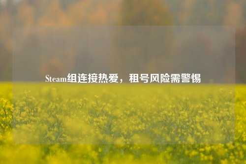 Steam组连接热爱,租号风险需警惕