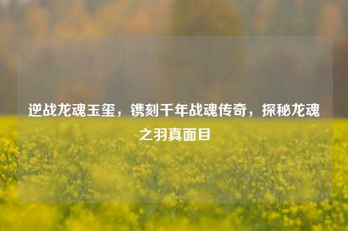 逆战龙魂玉玺,镌刻千年战魂传奇,探秘龙魂之羽真面目