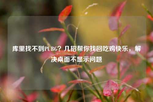 库里找不到PUBG?几招帮你找回吃鸡快乐,解决桌面不显示问题