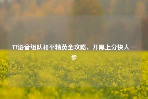 TT语音组队和平精英全攻略,开黑上分快人一步