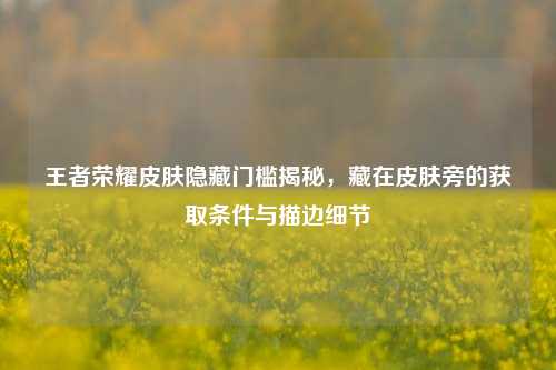 王者荣耀皮肤隐藏门槛揭秘,藏在皮肤旁的获取条件与描边细节