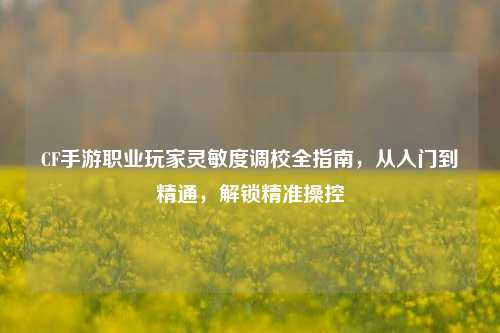 CF手游职业玩家灵敏度调校全指南,从入门到精通,解锁精准操控