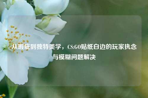 从瑕疵到独特美学,CS:GO贴纸白边的玩家执念与模糊问题解决