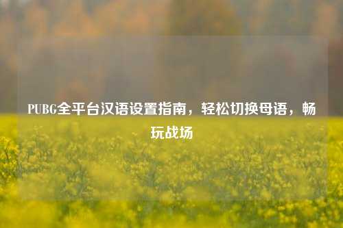 PUBG全平台汉语设置指南,轻松切换母语,畅玩战场